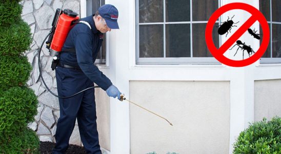 Sütçüler Dezenfeksiyon böcek ilaçlama ve haşere kontrolü — ilaclama-tr.com